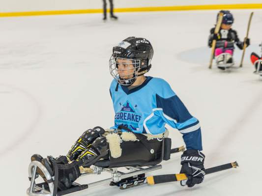 Sled Hockey 1